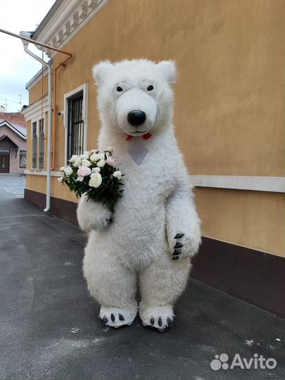 Поздравления Мишка / Панда