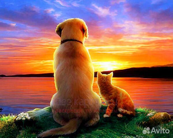 Картина по номерам 40x50 Пёс и котенок - два друга