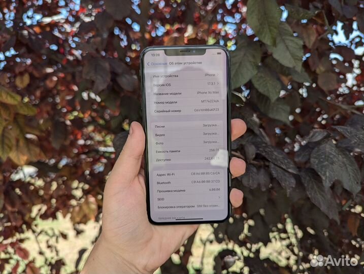 iPhone Xs Max, 256 ГБ