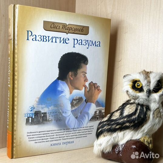 Торсунов Олег. Развитие разума. Том первый Амрита