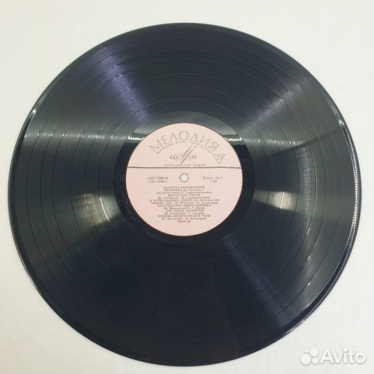 Виниловые пластинки