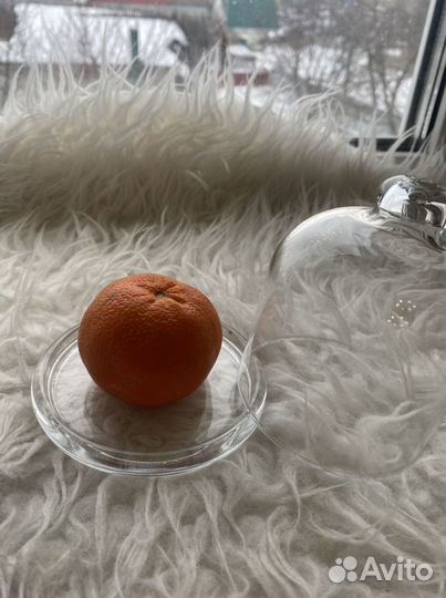 Контейнер для лимона