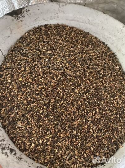 Продам люцерну сорта,Маныческая