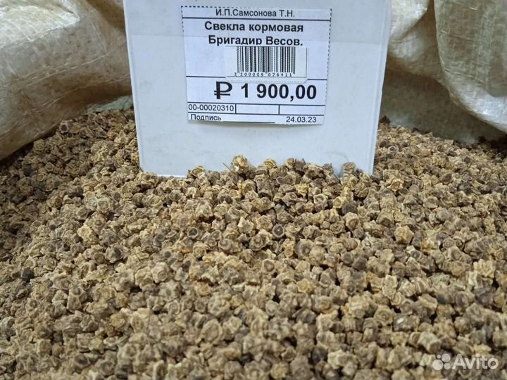 Семена кормовой свеклы Бригадир (Германия)