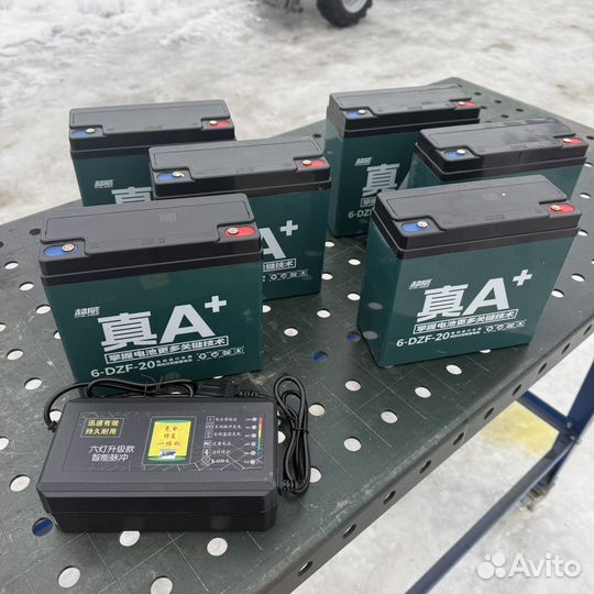 Комплект тяговых аккумуляторов 6-DZF-20 (48в 20ач)