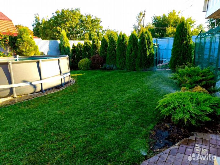 Рулонный газон - газон с укладкой