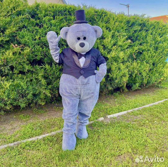 Мишка тедди на праздник