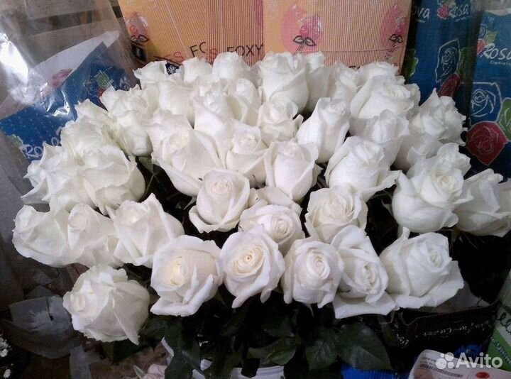 Высокие розы Букеты с доставкой