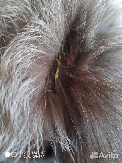 Шапка мех