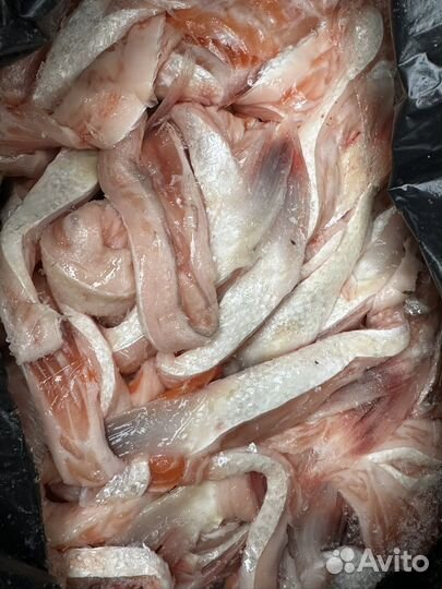 Брюшки Семги