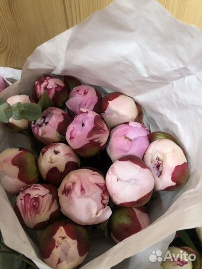 Цветы с доставкой пионы Букеты из Пионов