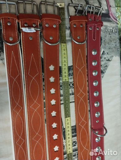 Ошейник для собак