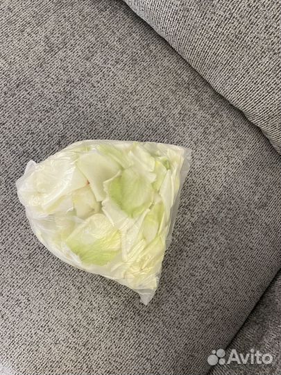 Лепестки роз