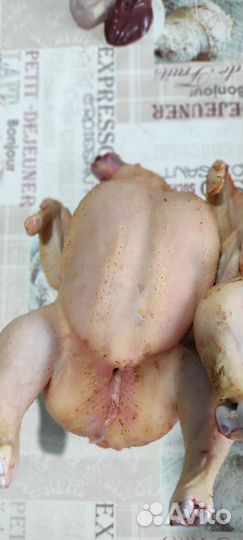 Куры бройлеры тушки мясо