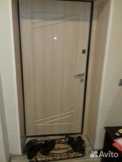 Металлические и входные двери