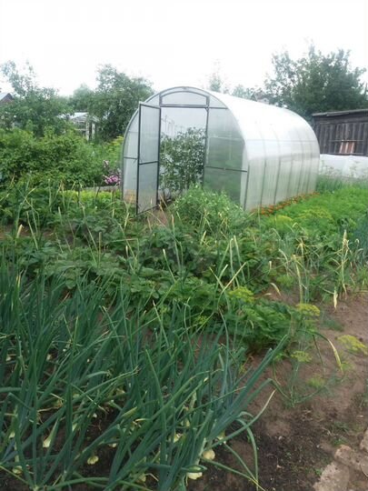 Дом 25 м² на участке 6 сот.