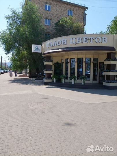 Ремонт бытовой и оргтехники