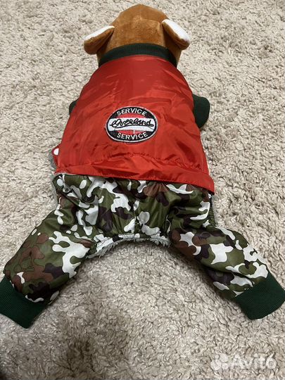 Одежда для собак