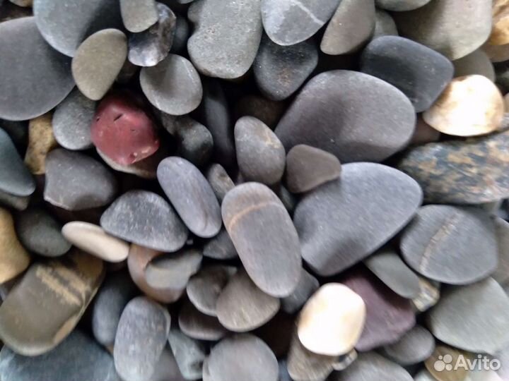 Наборы морской гальки, раковины для декора