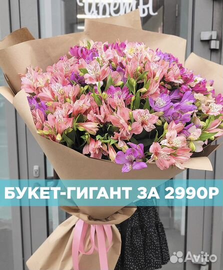 Огромный Букет из Свежих Альстромерий. Доставка