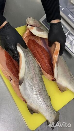 Форель охлаждённая