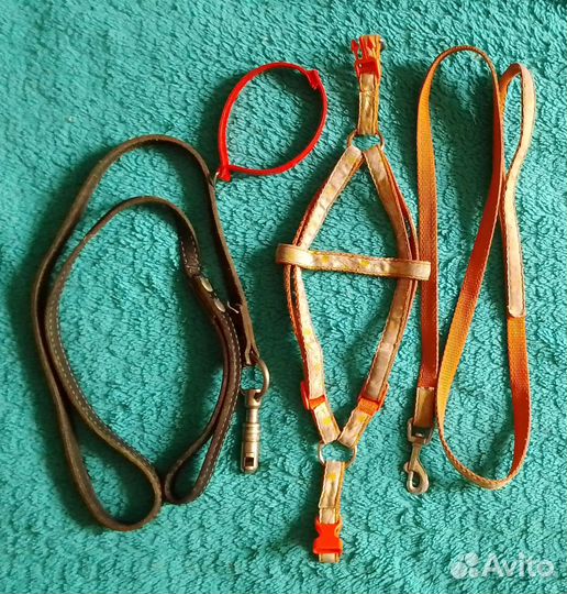 Поводок и шлейка для собаки