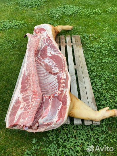 Свинина. Полутуши. Четвертинки. Целый поросенок