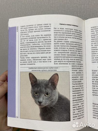 Книга про кошек