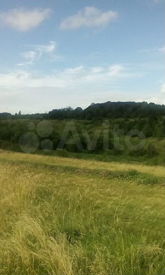 Дом 62 м² на участке 50 сот.