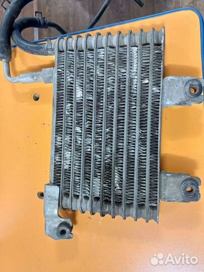 Радиатор масляный Kia Sportage 2