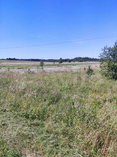 Участок 31,26 га (СНТ, ДНП)