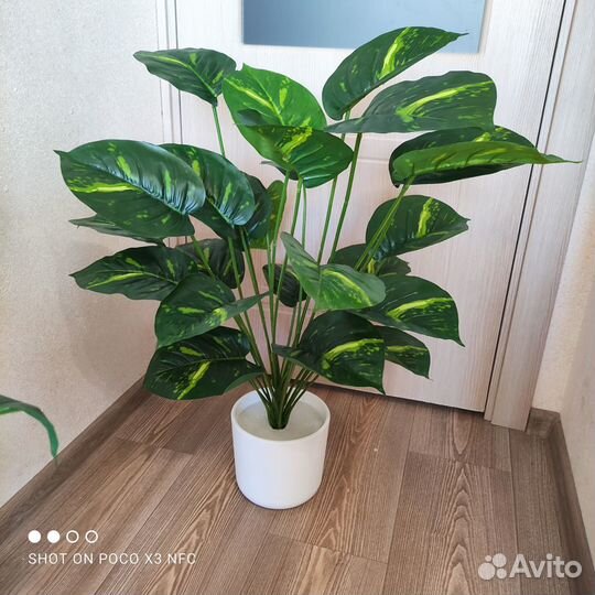 Искусственное растение,диффенбахия искусственная