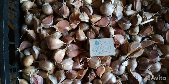 Чеснок дробленый