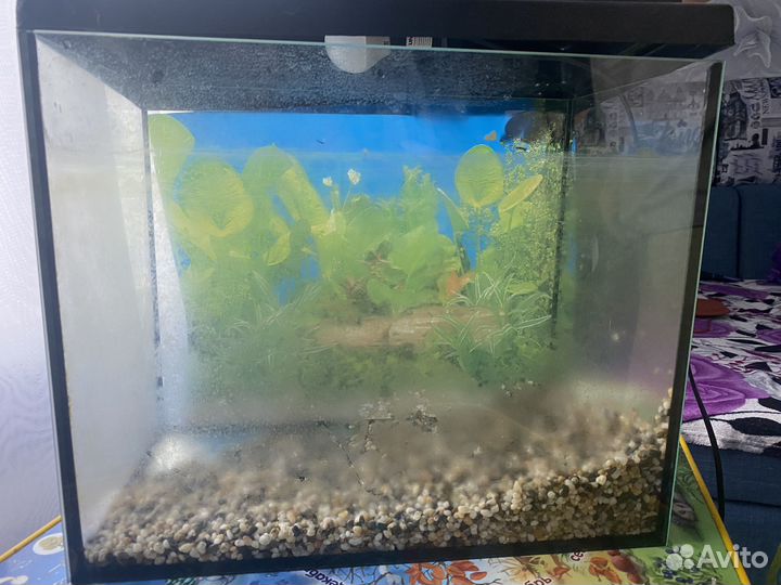 Аквариум