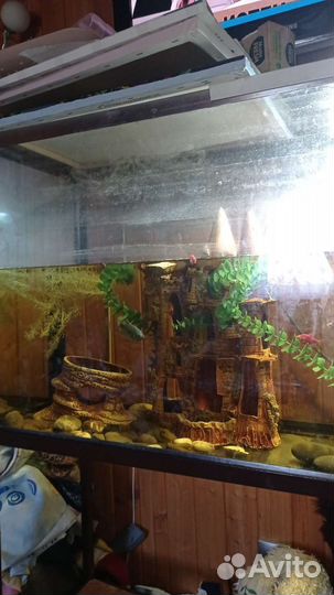 Аквариум с тумбой 150 литров