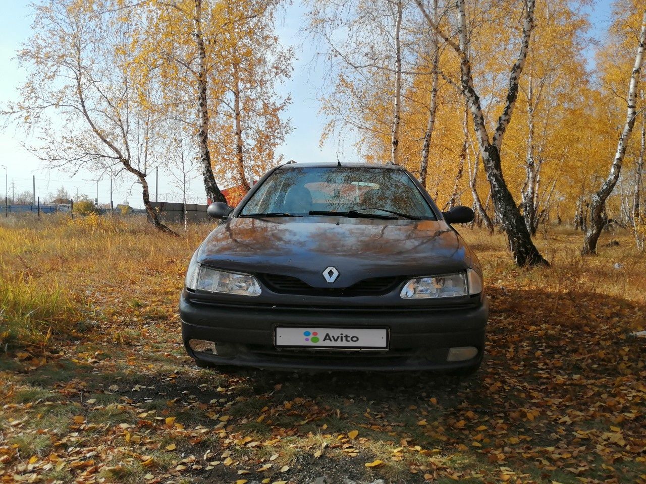 Renault Laguna: фото владельца