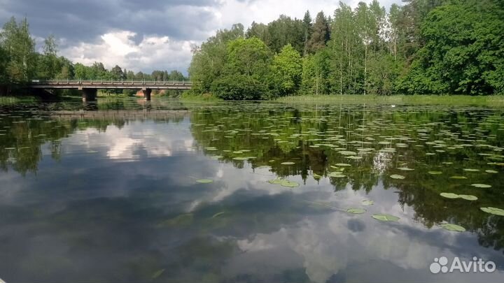 Аренда SUP борда. Сап прогулка по Оредежу