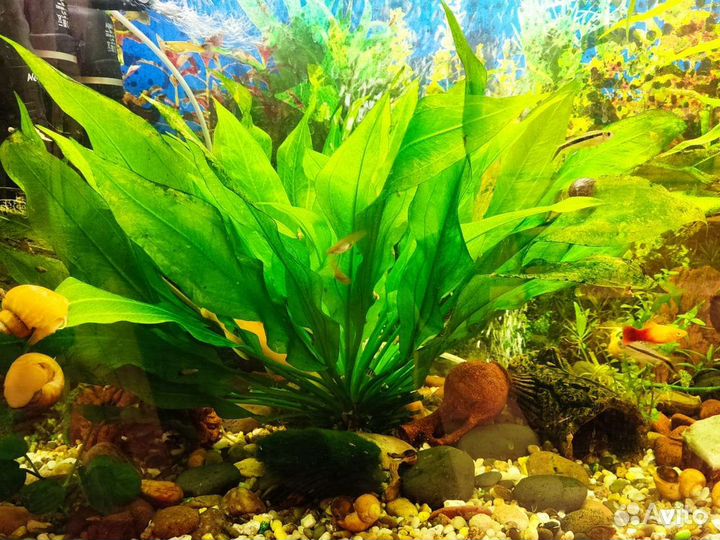 Аквариум 140 л