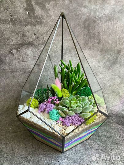 Флорариум бонсай подарок