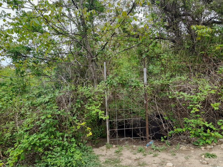 Участок 5,7 сот. (СНТ, ДНП)