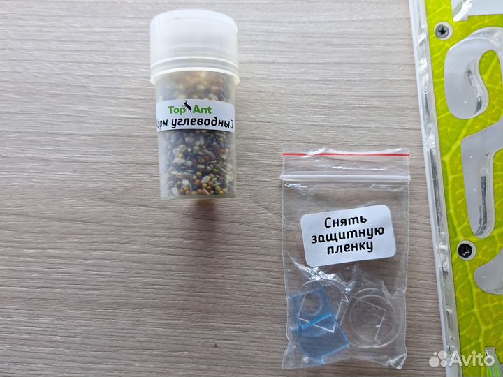 Муравьиная ферма большая