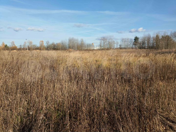 Участок 10 сот. (ИЖС)