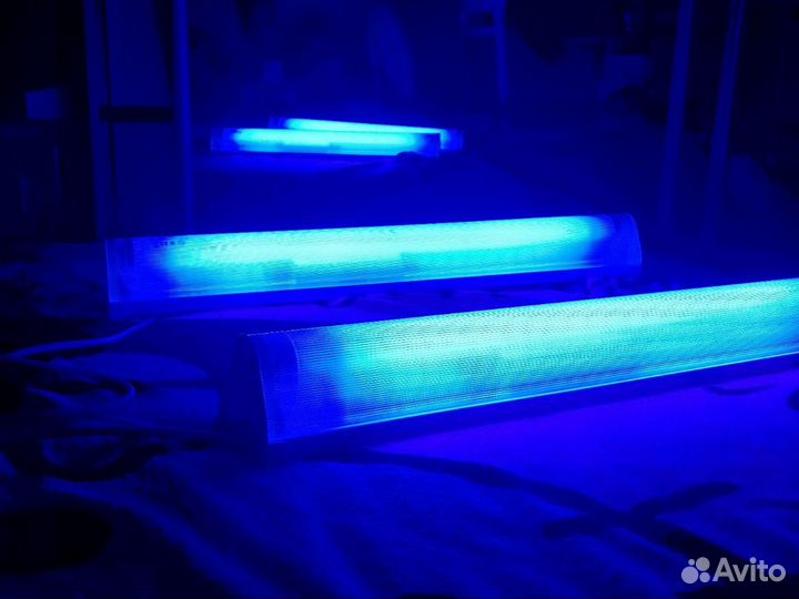 Лампа для лечения желтухи у новорожденных Philips