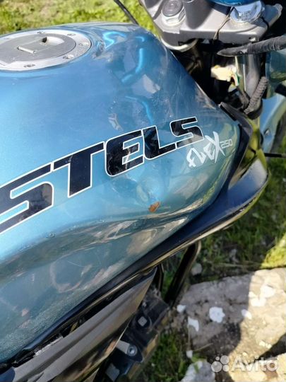 Stels Flex 250