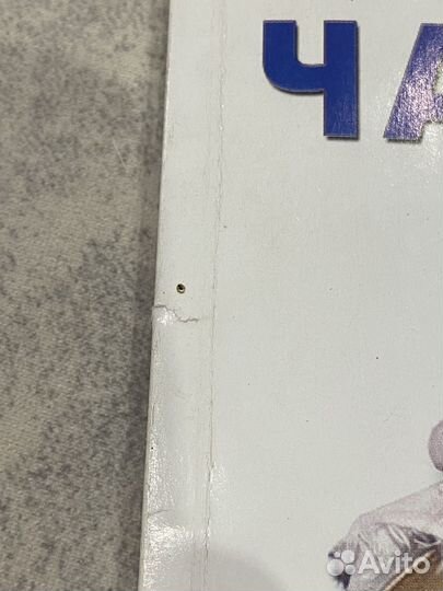 Чайный гриб