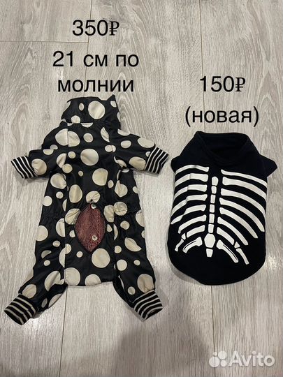 Комбинезон, костюм для маленькой собаки