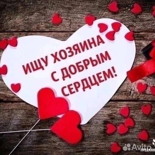 Спасите от гибели щенков