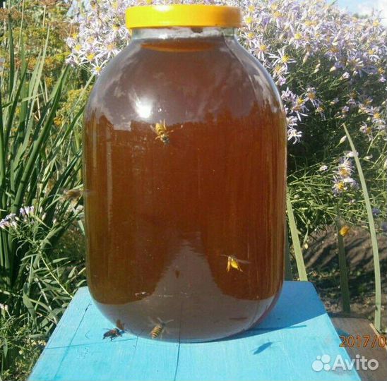 Мед 100 натуральный