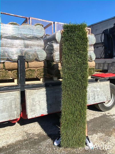 Рулонный газон от производителя