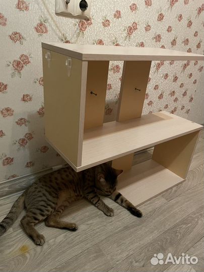 Полка настенная